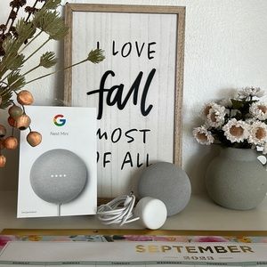 Nest Mini Google chalk color